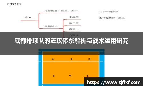成都排球队的进攻体系解析与战术运用研究