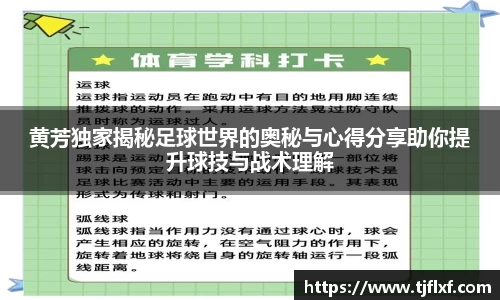 黄芳独家揭秘足球世界的奥秘与心得分享助你提升球技与战术理解